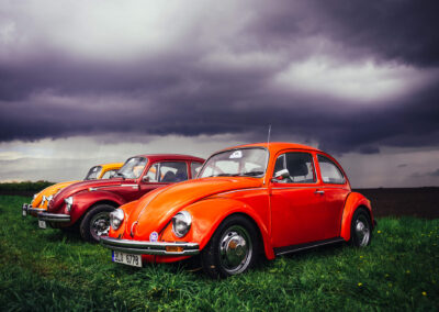 broukkolin_jarnisprint_0004